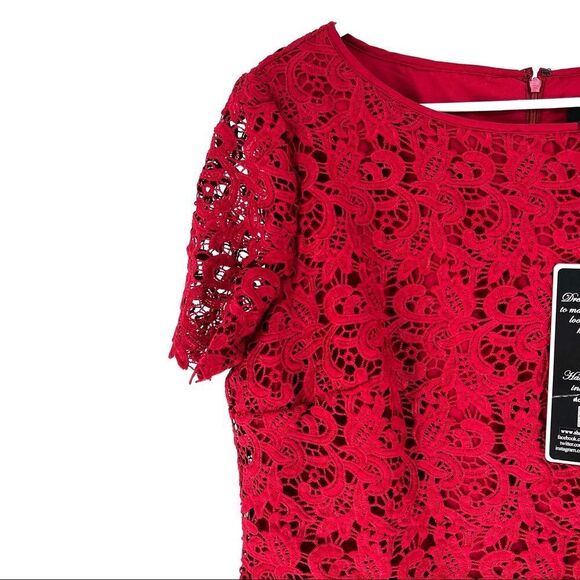 Shani Collection Women's Plus Fit and Flare Popover Lace Dress - 14 - Picture 3 of 7